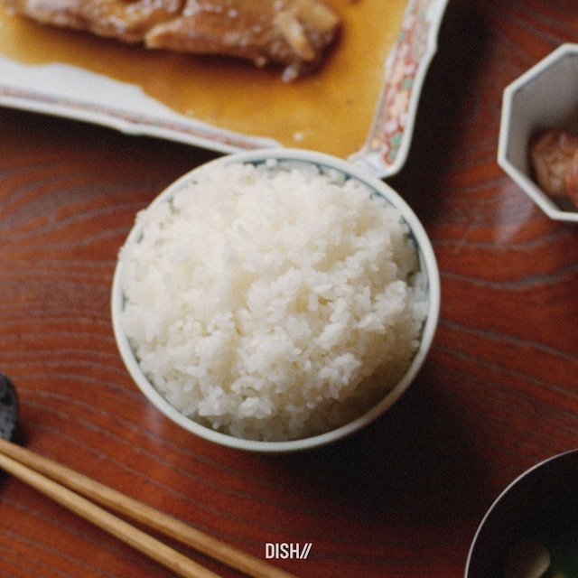 DISH//「ごはん」配信ジャケット