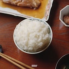 DISH//のできたて「ごはん」10月にリリース