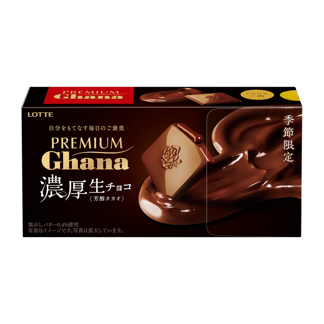 み❤️ 希少　花付き！特大カカオ苗木　チョコレートの木 み❤️ 希少 花付き！特大カカオ苗木 チョコレートの木 み❤️ 希少 花