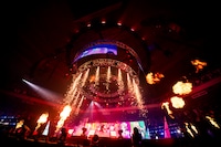 「トゲナシトゲアリ LIVE in 日本武道館 “奏檄の叫”」の様子。（撮影：キセキミチコ）