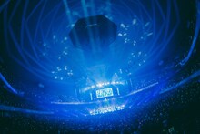 「トゲナシトゲアリ LIVE in 日本武道館 “奏檄の叫”」の様子。（撮影：冨田味我）