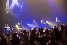 Crimson Crat Clan（写真提供：I.Y.O）