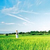 水平線「エンドレスサマー」ジャケット