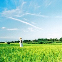 水平線「エンドレスサマー」ジャケット