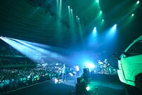 フラワーカンパニーズ「フラカンの日本武道館 Part2 ～超・今が旬～」の様子。（撮影：新保勇樹）