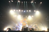 フラワーカンパニーズ（撮影：新保勇樹）