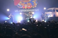 フラワーカンパニーズ（撮影：新保勇樹）