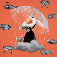 TenTwenty「ハレ」ジャケット