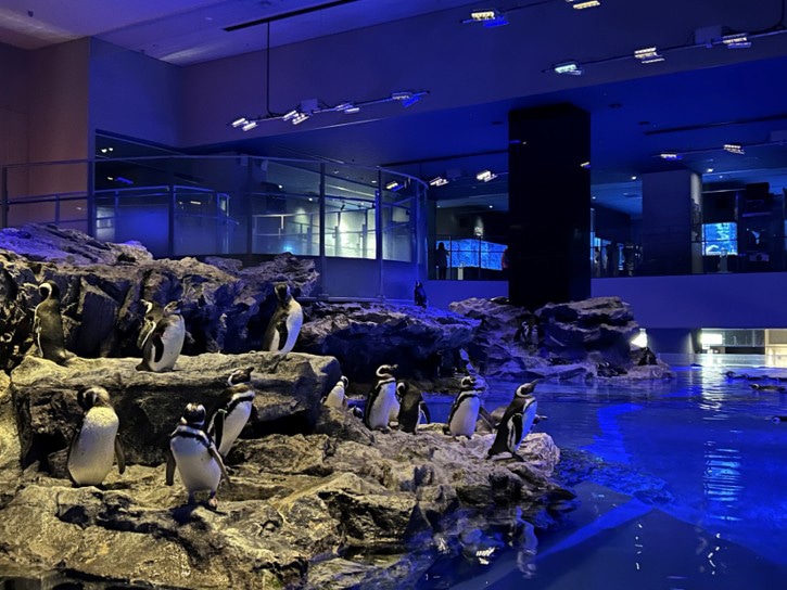 すみだ水族館の様子。