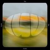 luv「The Seeds」配信ジャケット