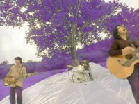 サニーデイ・サービス「NOW」MVサムネイル