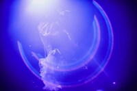 りりあ。（撮影：山川哲矢）