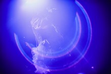 りりあ。（撮影：山川哲矢）