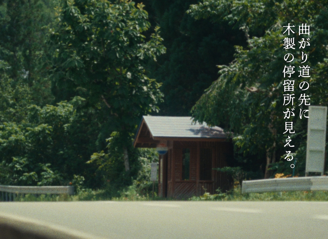 ヨルシカ「盗作 再演」完走、壮大なスケールで紡いだ夏の日の記憶