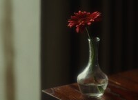 「花人局」VJより。