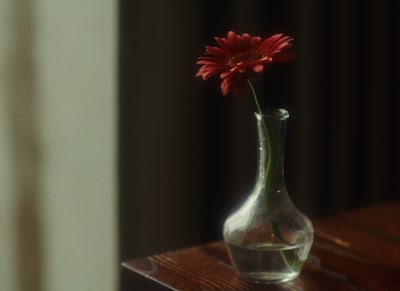 「花人局」VJより。