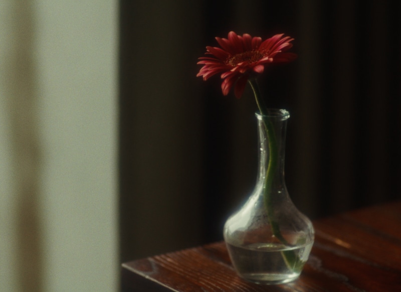 「花人局」VJより。