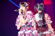 小泉遥香