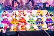 「超ときめき♡宣伝部のきみのハートにロックオンTOUR 2025 ~10th Anniversary~」ファイナル公演の様子。