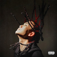 姫路のラッパーljが初のアルバム「little junior」リリース、MIKADO参加曲含む13曲収録