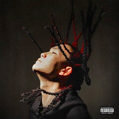 姫路のラッパーljが初のアルバム「little junior」リリース、MIKADO参加曲含む13曲収録