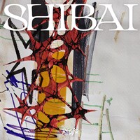 龍宮城「SHIBAI」ジャケット