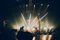 Czecho No Republic（撮影：山川哲矢）