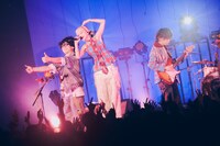 Czecho No Republic（撮影：山川哲矢）