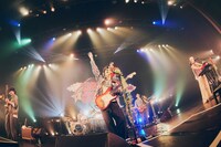 Czecho No Republic（撮影：山川哲矢）