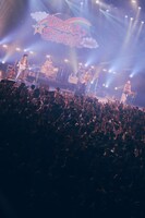 Czecho No Republic（撮影：山川哲矢）