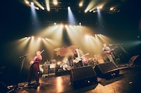 go!go!vanillas（撮影：山川哲矢）