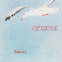 くるりがニューシングル「Regulus」発表、今週末開催「音博」は総勢12人の特別編成で