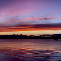 天々高々「なんども」配信ジャケット