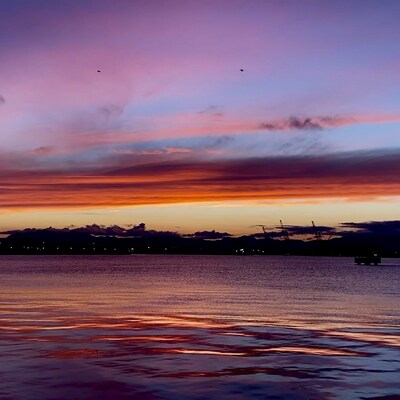 天々高々「なんども」配信ジャケット