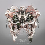 Crystal Lakeが通算7枚目ニューアルバム発表、日本盤CDにはライブ音源2曲収録
