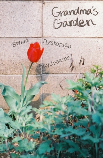 Grandma's Garden「Sweet Dystopian Daydreams」ジャケット