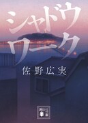 原作小説「シャドウワーク」表紙 ©佐野広実／講談社