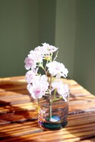 逢瀬の桜～THANK YOU SO MUCH!!～