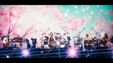 「サザンオールスターズ - 桜、ひらり [Live at 石川県産業展示館4号館, 2025]」より。