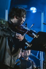 くるりのステージに出演した山田周（Violin）。（撮影：井上嘉和）