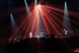 Official髭男dism(撮影:小杉歩)