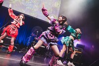 左から、まこと、らき、なに。（Photo by ike）