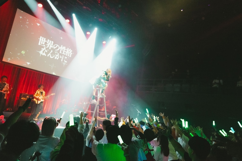 脚立に上がるなに（中央）。（Photo by ike）