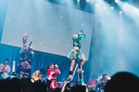 脚立に上がるなに（中央）。（Photo by ike）