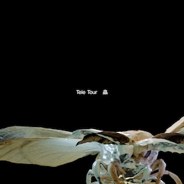 Tele、年またぎツアータイトルが「蟲」に決定