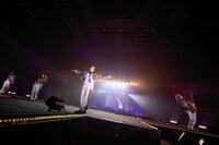 わんちゃんわんわんねこにゃんにゃん