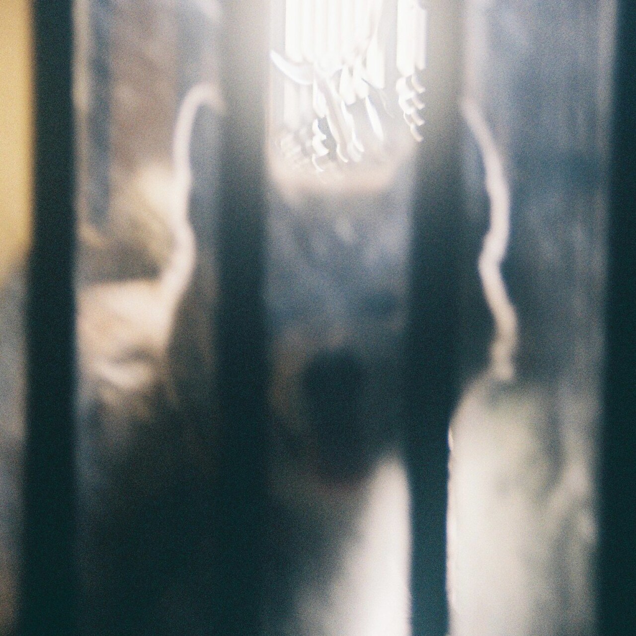 田中ヤコブが5枚目のソロアルバムリリース、Lamp榊原香保里参加曲を