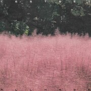 TESTSET「ALL HAZE」ジャケット