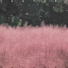 TESTSET「ALL HAZE」ジャケット