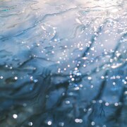 離婚伝説「ファーストキス」配信ジャケット